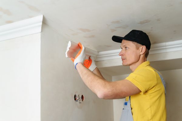 Trim Molding Repair